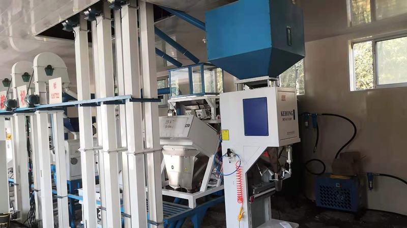 山東濟南長清雙泉鎮(zhèn)NZJ 10噸小米成套加工設(shè)備安裝調(diào)試完畢