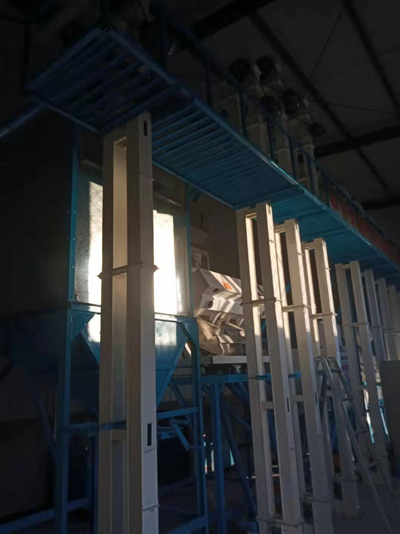 河北張家口市萬全縣20噸小米成套加工設備安裝調試完畢